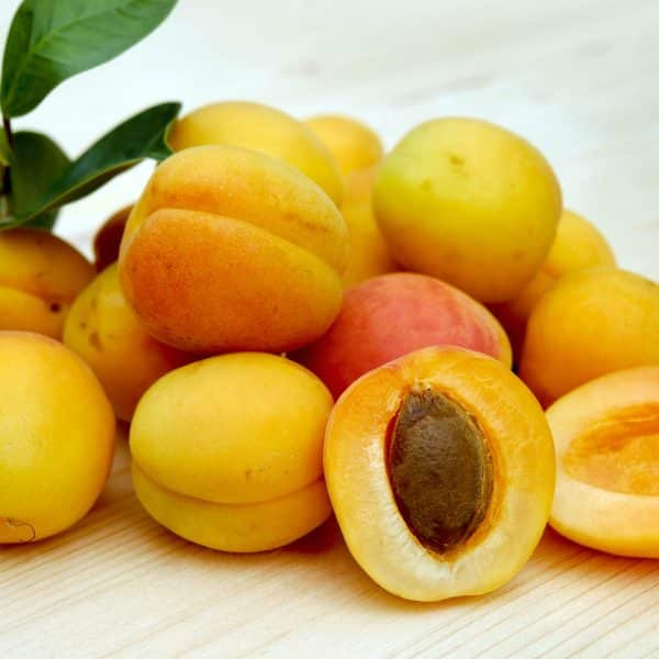 Abricots avec une feuille