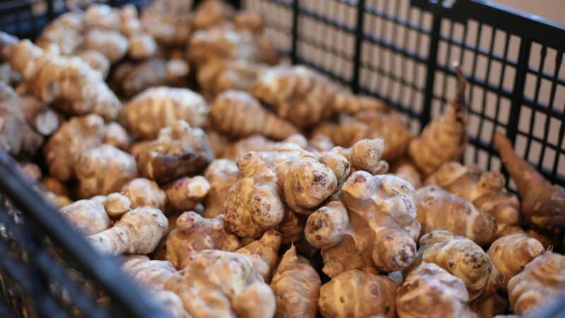 topinambours dans une caisse