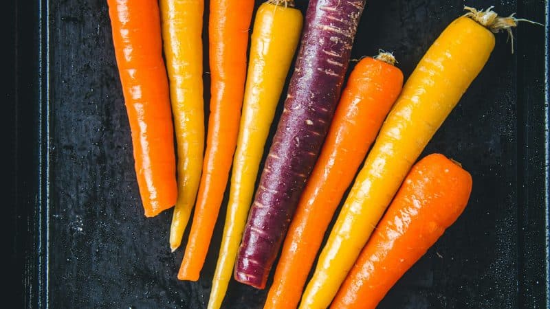carottes multicolores