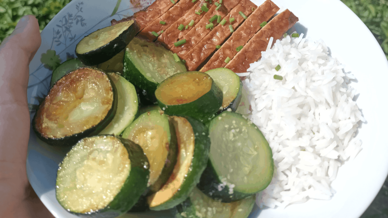 assiette équilibrée au tempeh